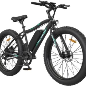 Electric Bike Adults,750W 48V Removable Larger Battery,26" Fat Tire Aluminum Alloy E-Bike,Adult Assisted Lithium Battery Bicycle (Black &...